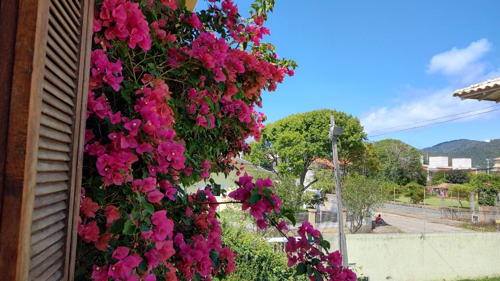 Maison De La Mer 300M Da Praia フロリアノポリス 部屋 写真